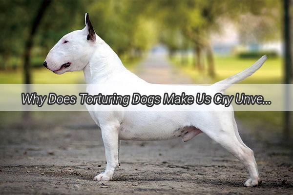 Why Does Torturing Dogs Make Us Cry Unveiling the HeartWrenching Emotional Complexity